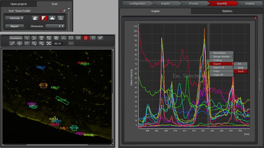 Figure 3: Displaying and exporting spectra from user-defined regions of interest (ROIs) of the image.