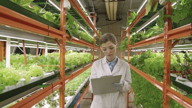 保护我们的地球