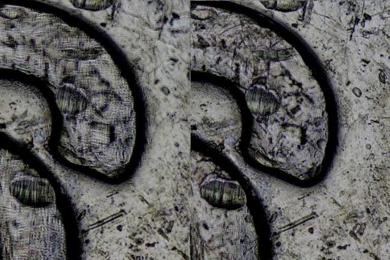 The image processing algorithm used can realise real-time depth-of-field fusion, breaking through the limitation of insufficient depth-of-field under high-magnification objective lenses, and obtaining a greater depth-of-field when adjusting the focal length, thus balancing resolution and depth-of-field.