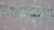 Spirogyra algae (Conjugation), Transmitted Light Differential Interference Contrast.