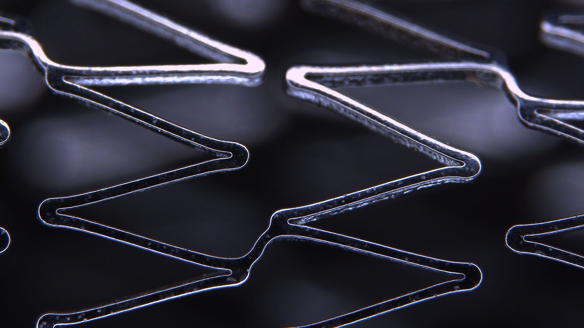 Detailed view of a stent, captured with the DVM6 digital microscope