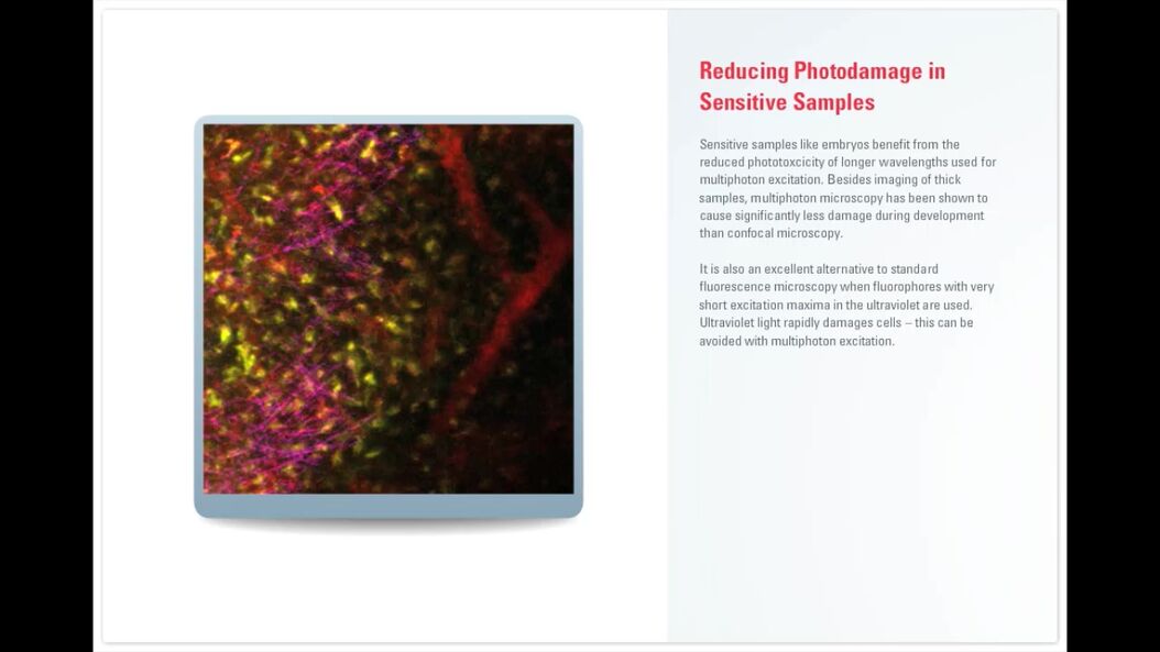  snap-Multiphoton-Tutorial.jpg