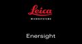 Download Enersight 软件 - 适用于 Windows 的桌面应用程序