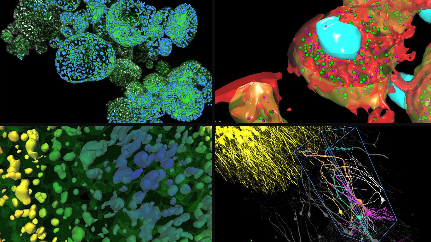 Aivia Software Subscription models