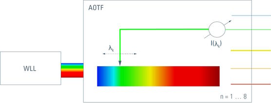 [Translate to chinese:] Excitation filtering from a white source is best performed  by means of an acousto-optical tunable filter (AOTF). The Leica TCS SP8 X uses the combination of supercontinuum light and AOTF to generate tunable bandlets in the White Light Laser WLL. This is 