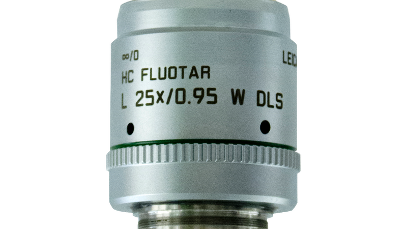 HC FLUOTAR L 25x/0,95 W DLS