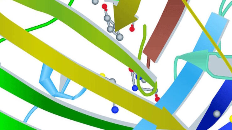Molecular structure of the green fluorescent protein (GFP) Molecular structure of the green fluorescent protein (GFP)