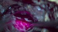 [Translate to chinese:] GLOW400 AR Fluorescence in anatomy view, image courtesy of Prof. Kondo
