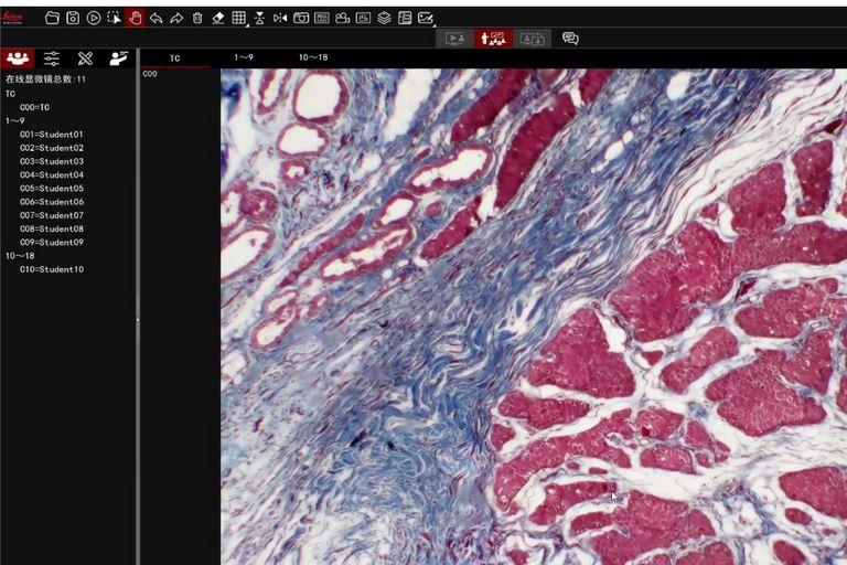The ‘Whiteboard’ function provides a variety of tools, including a mouse pass-through function, which enables teachers to conveniently call up files and materials on the computer's disk. 