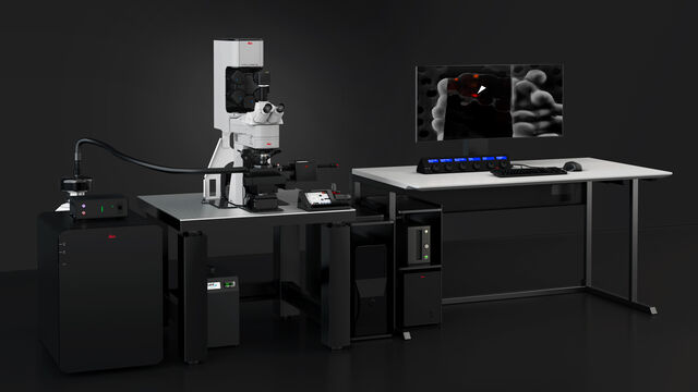 Técnicas avançadas de microscopia