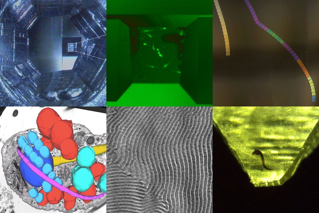Sectioning resin-embedded sambles Ultrmicrotomy_eBook_Targeting_Trimming_and_Alignment.jpg