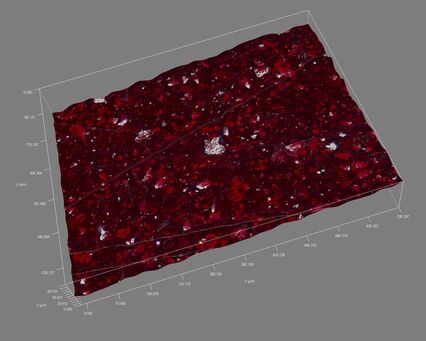 Red metallic paint 3D model.