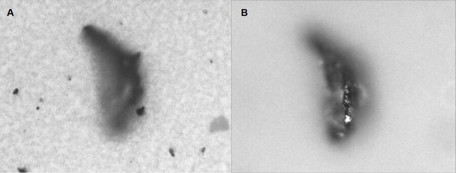 Particle height measurement with optical microscopy