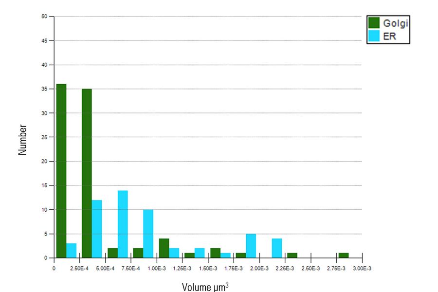 Distribution analysis of individual Golgi and ER objects. 
