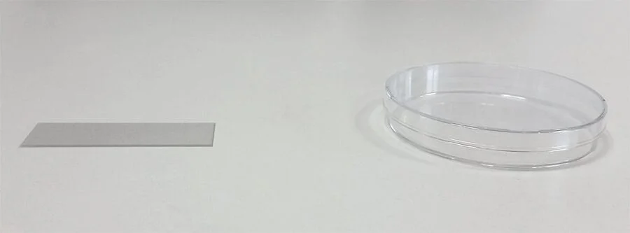 Left) Glass slide used to mount fixed samples, e.g. histological sections. Right) Petri dish used for cell culture.