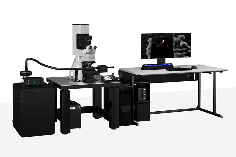 Microscópio óptico confocal STELLARIS 5 Cryo