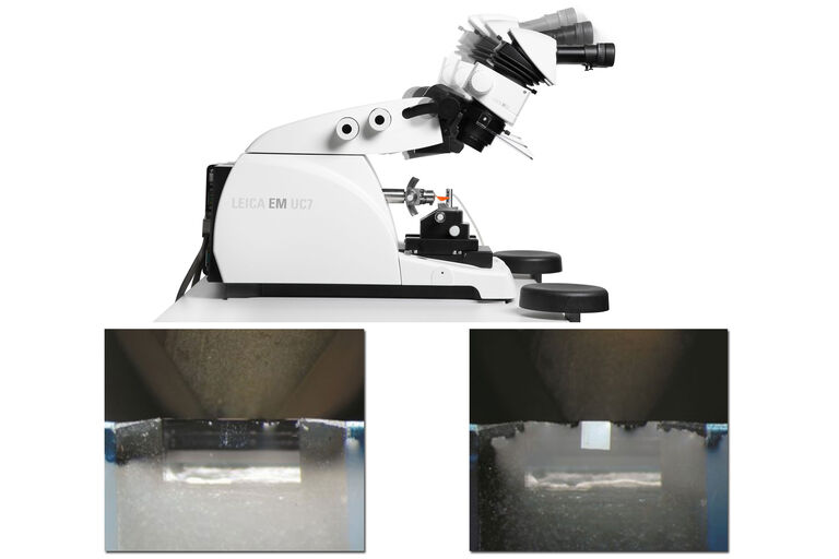[Translate to chinese:] Eucentric movement of the EM UC7 microscope carrier. Left: sectioning at the knife edge with a lower water level without optimal positioning of the optical head. Right: section is made visible by putting the optical head in its optimal position.

