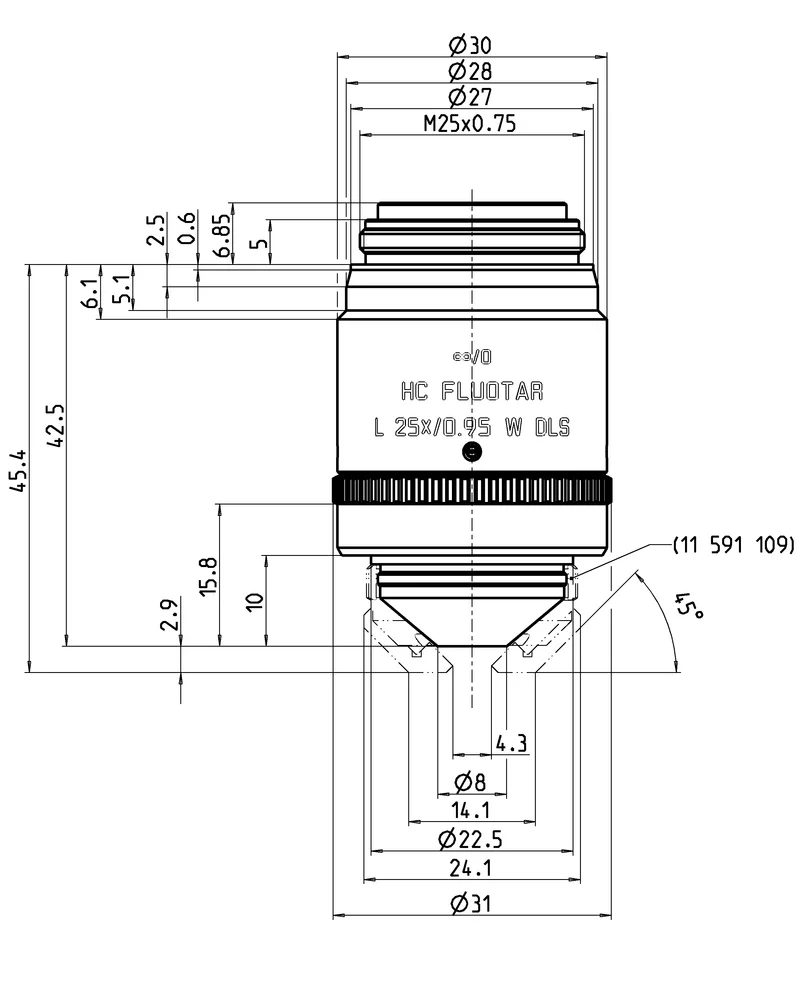 HC FLUOTAR L 25x/0,95 W DLS