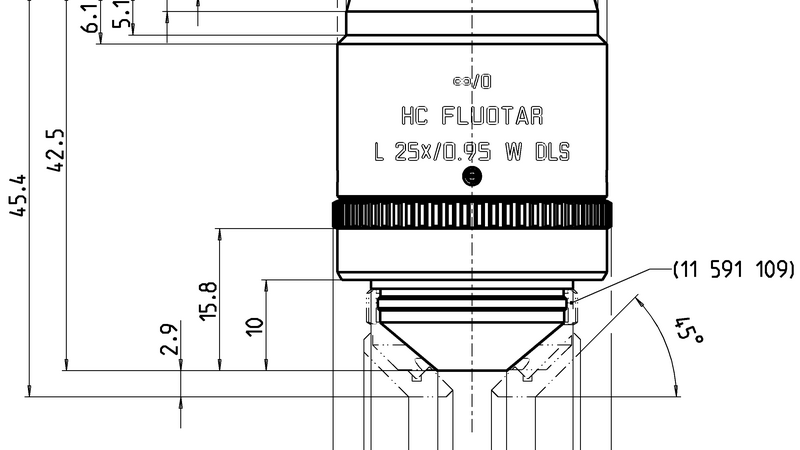 HC FLUOTAR L 25x/0,95 W DLS