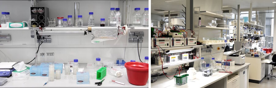 德国康斯坦茨大学分子微生物学系（Molecular Microbiology, University of Constance）的典型C. elegans实验室照片。