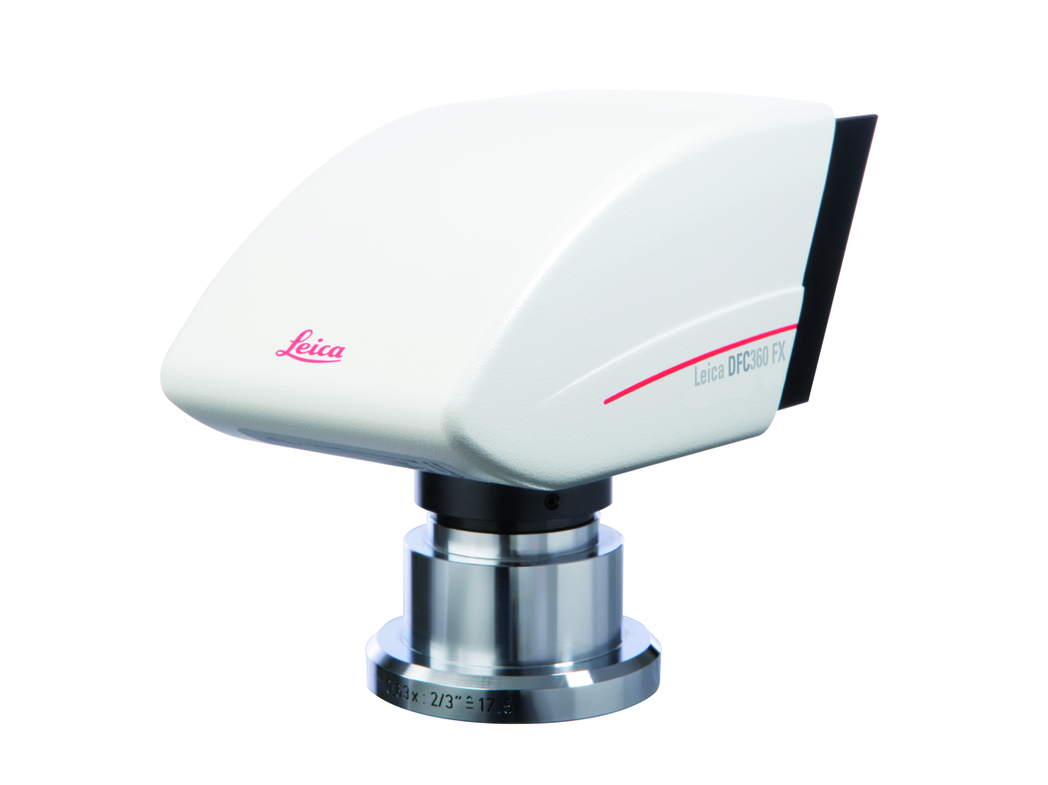The Leica DFC360 FX provides excellent results in live cell imaging. The Leica DFC360 FX provides excellent results in live cell imaging.