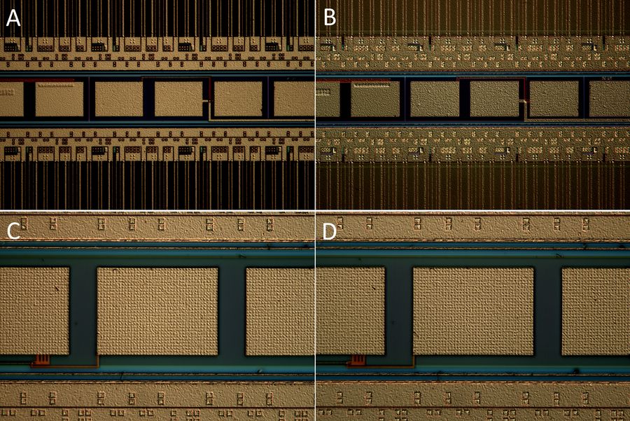 Different areas of a patterned wafer imaged with a DM6 M microscope using DIC with light wave shearing having a negative (A and C) and positive (B and D) bias.