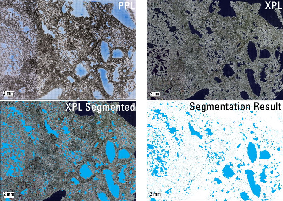 ViP image of carbonate taken with plane polarized light (PPL) and cross polarized light (XPL).