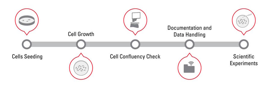 [Translate to chinese:] Confluency Check Workflow Steps: 1. Cell Seeding, 2. Cell Growth, 3. Cell Confluency Check, 4. Data handling, and 5. Scientific experiments 