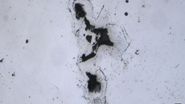 Particle analysis with the Visoria M microscope