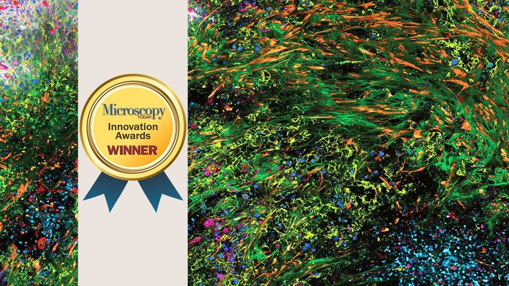 癌症免疫学中的三维超多标成像。Kunz L.、Speziale D.等人，Nat.方法》（2024 年）