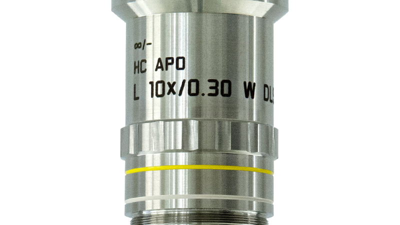 HC APO L 10x/0,30 W DLS