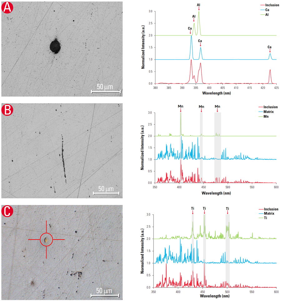 [Translate to chinese:] Inclusions in steel examined with the DM6 M LIBS system, where both image and composition data were obtained simultaneously with a single analysis. 