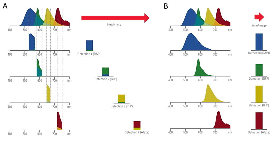 [Translate to chinese:] 4 color fluorescence imaging_Conventional vs Fluosync