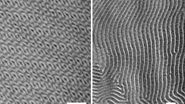 TEM micrographs of polymer sections. Left: Poly(styrene)-b-poly(isoprene). Right: Poly(styrene)-b-poly(methyl methacrylate). 