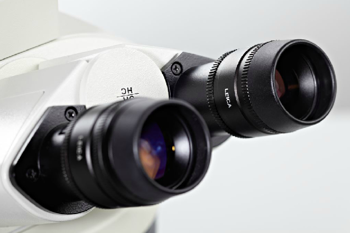 [Translate to chinese:] The final image of a microscope can be watched with the eyepieces, also called oculars, or ocular lenses.