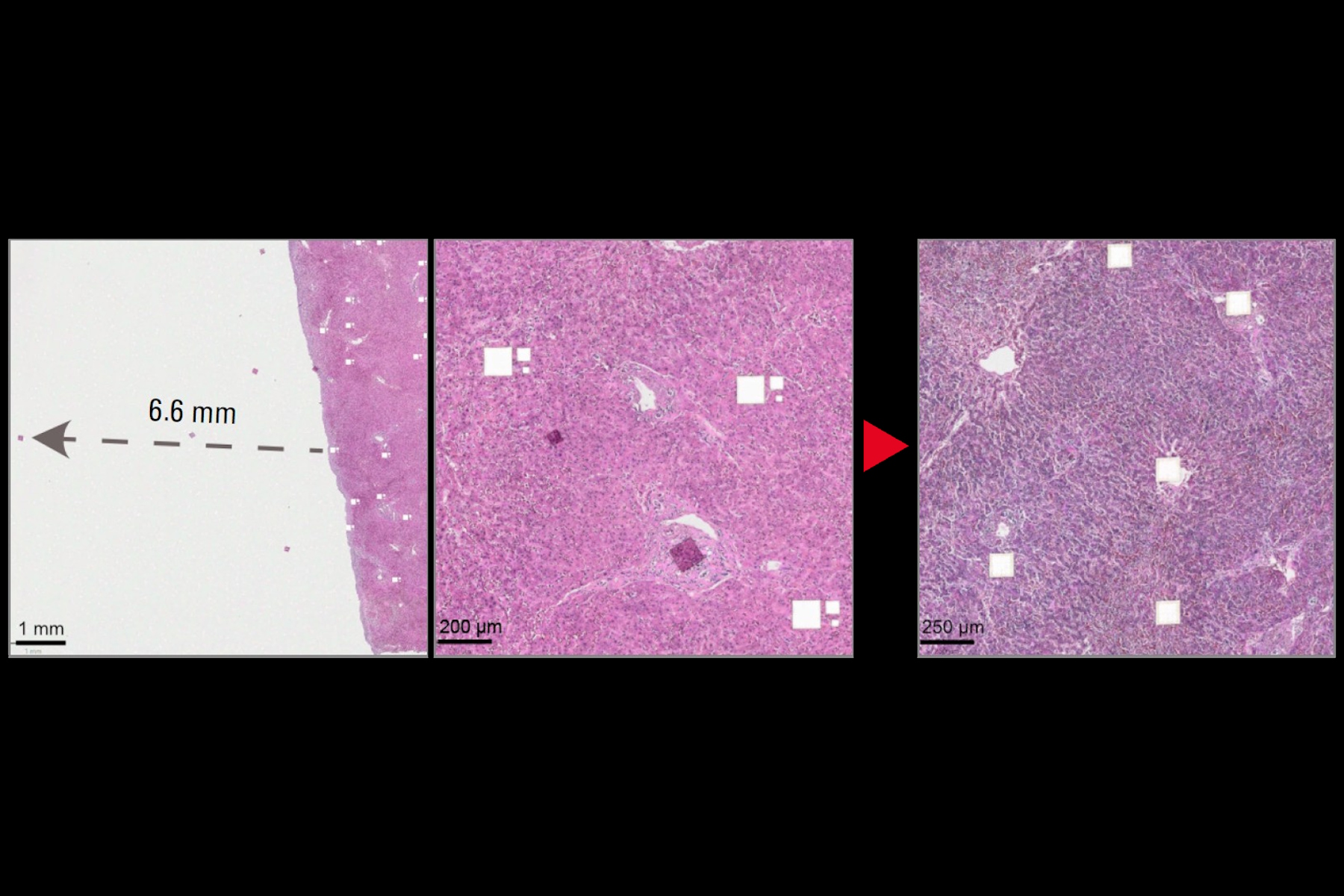  LMD 离子发生器使用前后。