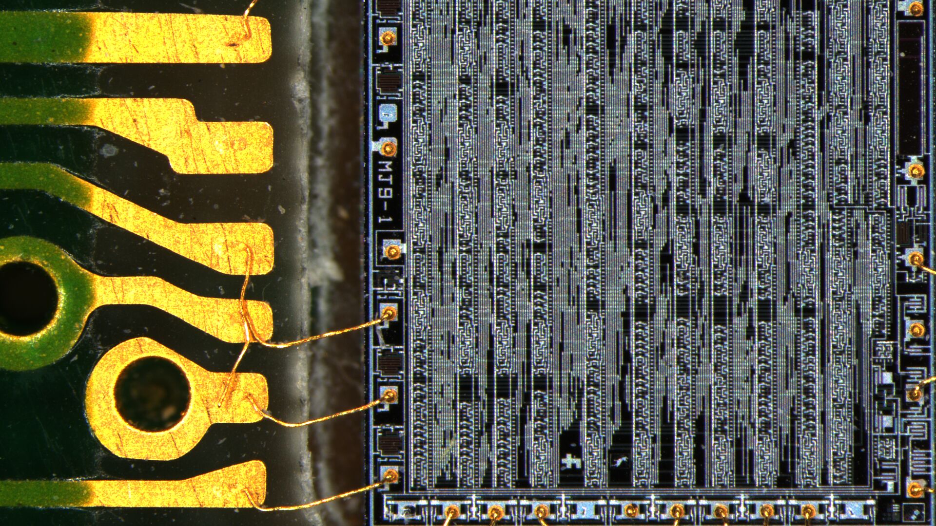 Product and Application Images DMC5400 (Tukan) - PCB with 20MP