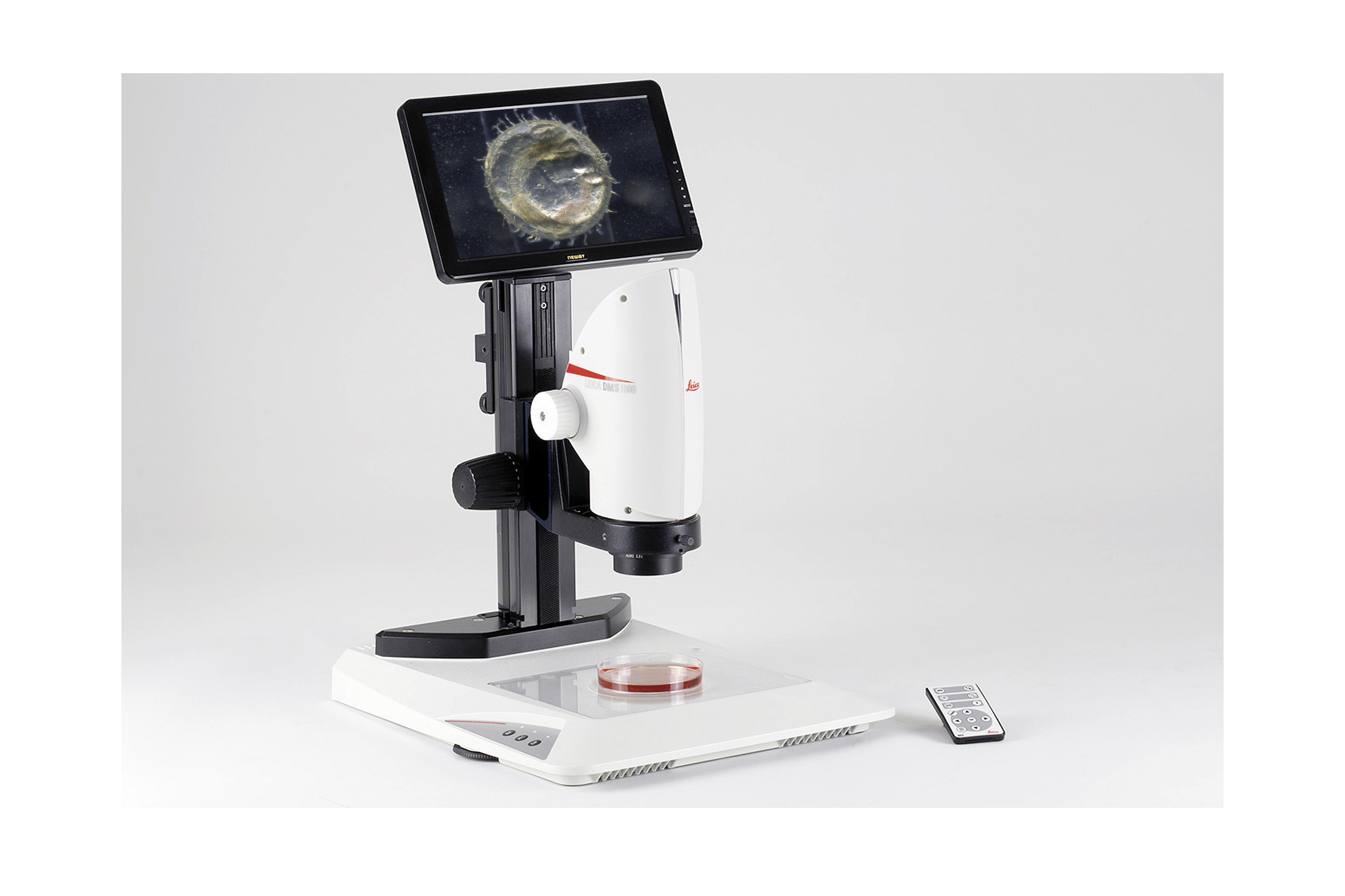 用于实验室研究的数码显微镜系统 http://www.leica-microsystems.com/typo3/clear.gifch 用于实验室研究的数码显微镜系统 http://www.leica-microsystems.com/typo3/clear.gifch