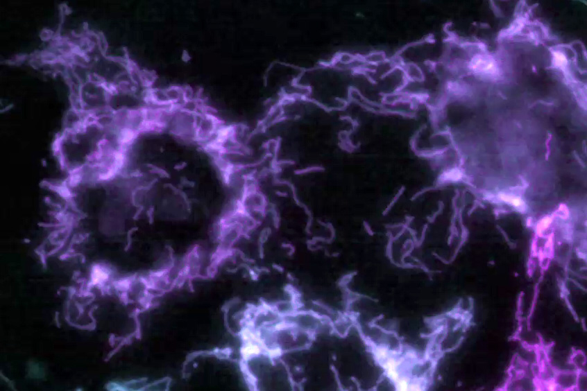 Mica Microhub 无限制--数据量增加 4 倍， 四通道100%相关